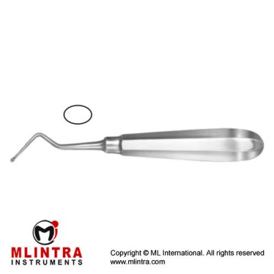 Modell USA Bone Curette Oval - Fig. 2 - Right Stainless Steel, 15.5 cm - 6"